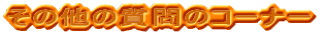 ���̑��̎���̃R�[�i�[
